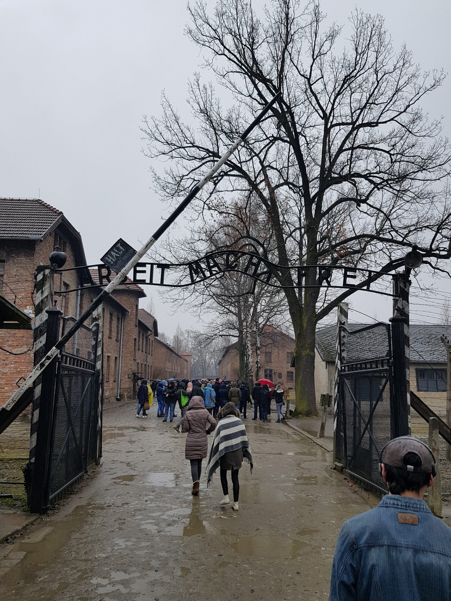 Zúčastnili sme sa exkurzie v koncentračnom tábore Auschwitz-Birkenau - Obrázok 2