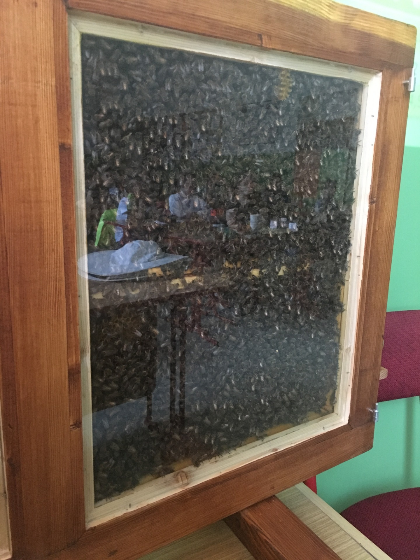 Zážitkové vyučovanie s včelárom - Obrázok 2