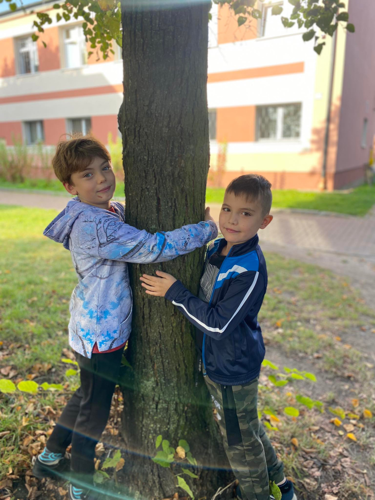 Przytul się do drzewa! 🌳🌲😁 - Obrazek 3