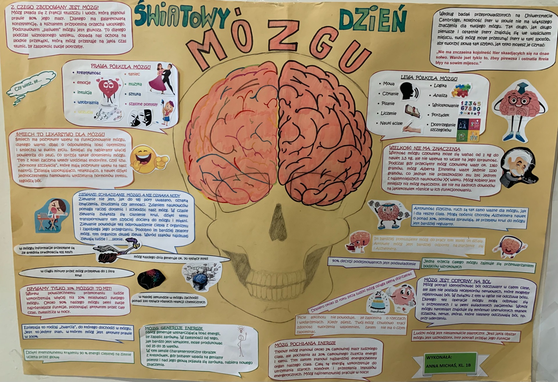 Plakat informujący o możliwościach mózgu
