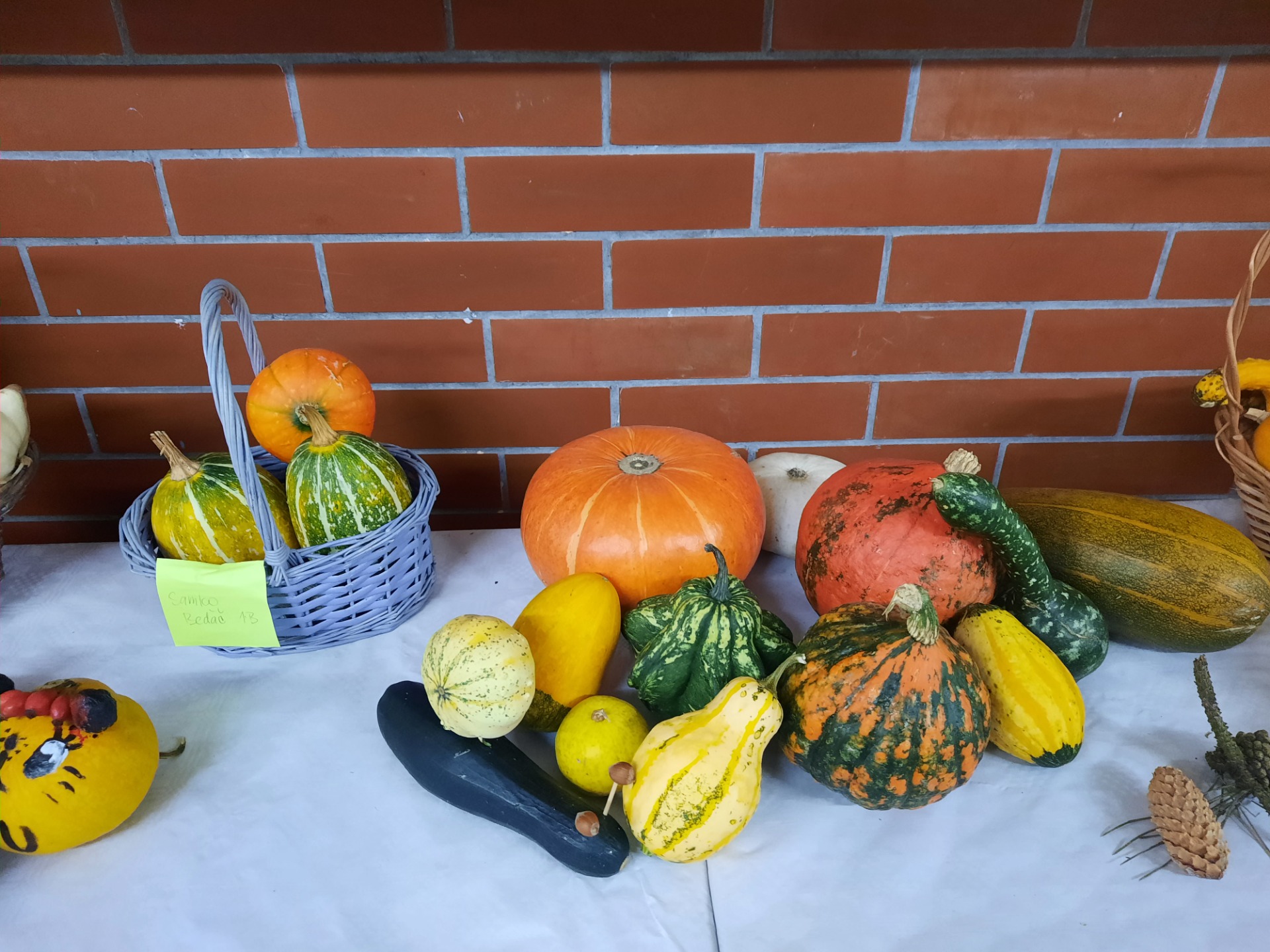 Jesenná výstavka plodov - Obrázok 5